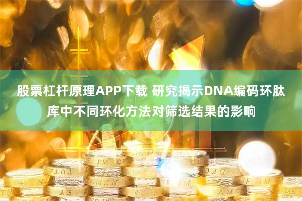 股票杠杆原理APP下载 研究揭示DNA编码环肽库中不同环化方法对筛选结果的影响