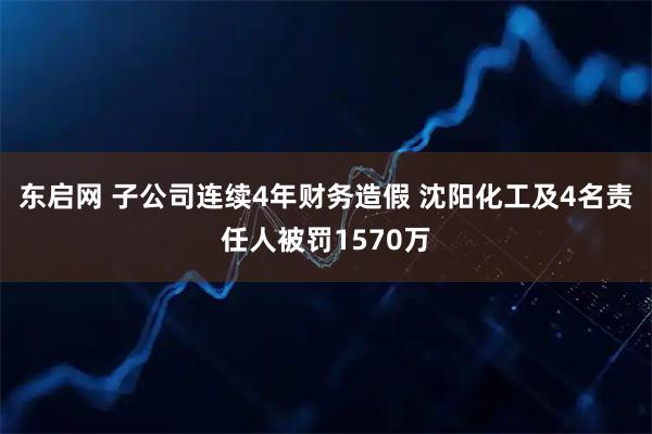 东启网 子公司连续4年财务造假 沈阳化工及4名责任人被罚1570万