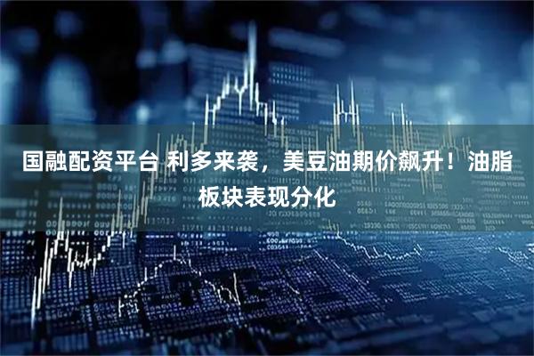 国融配资平台 利多来袭，美豆油期价飙升！油脂板块表现分化