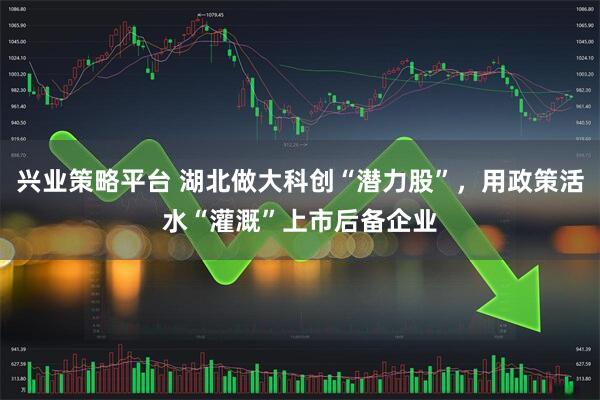 兴业策略平台 湖北做大科创“潜力股”，用政策活水“灌溉”上市后备企业